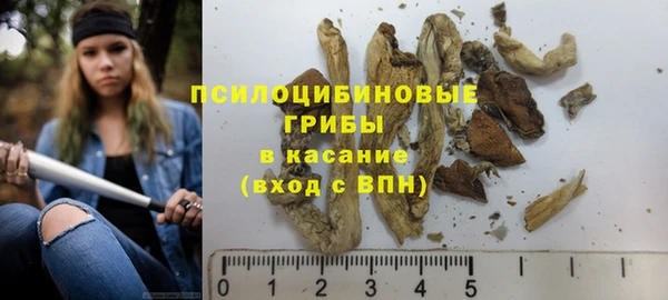 spice Кулебаки