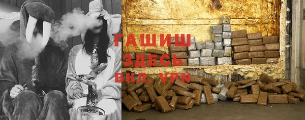 индика Кукмор