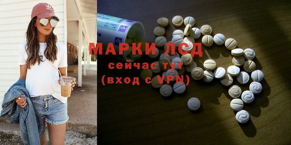 индика Кукмор
