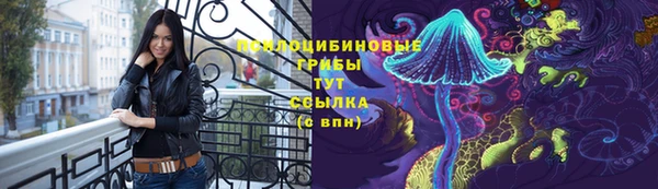 индика Кукмор