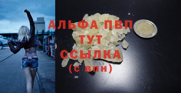 индика Кукмор