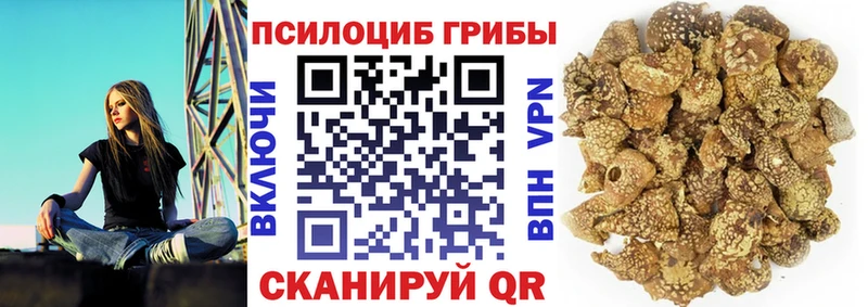 Псилоцибиновые грибы Psilocybe  МЕГА как зайти  Чайковский 